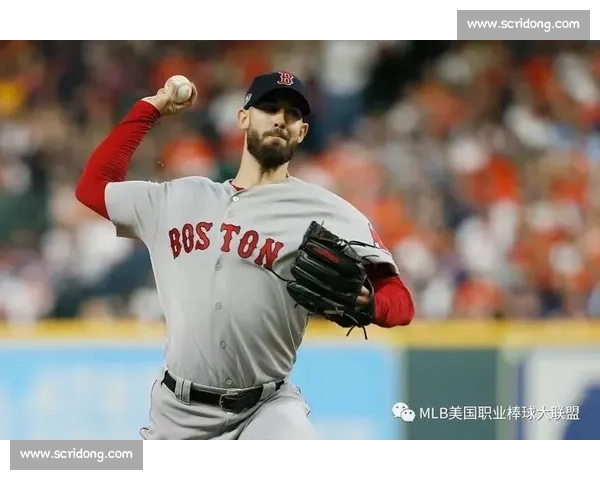 霍克斯湾 40-10 狂胜马努考郡，北区霸主捍卫主场荣耀